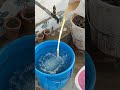 Applying Vermicompost &amp; Banana Peel Water to Broccoli Plants|Organic Liquid Fertilizer|Jeet Vlog 3.0