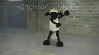 Sesok dibeleh yeee