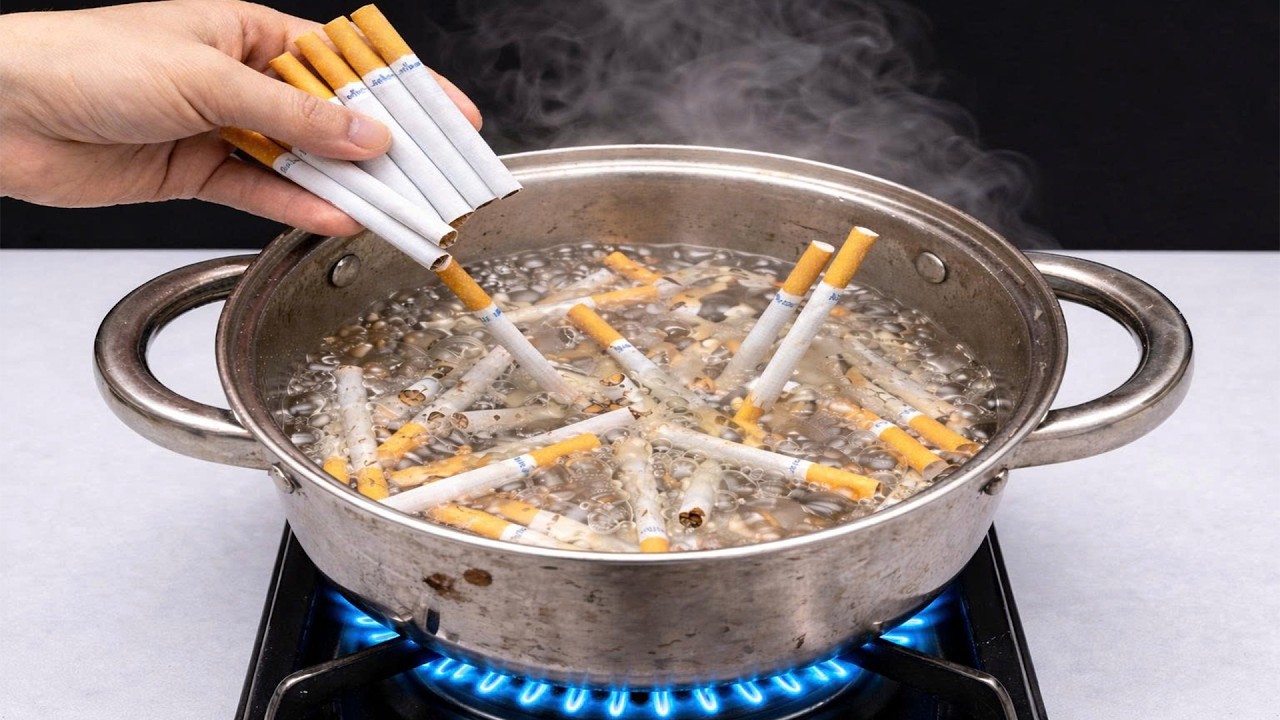 dbpr tobacco license INSTRUCTIONS FOR COMPLETING DBPR ABT 6007 DIVISION OF ALCOHOLIC BEVERAGES  AND TOBACCO REQUEST FOR