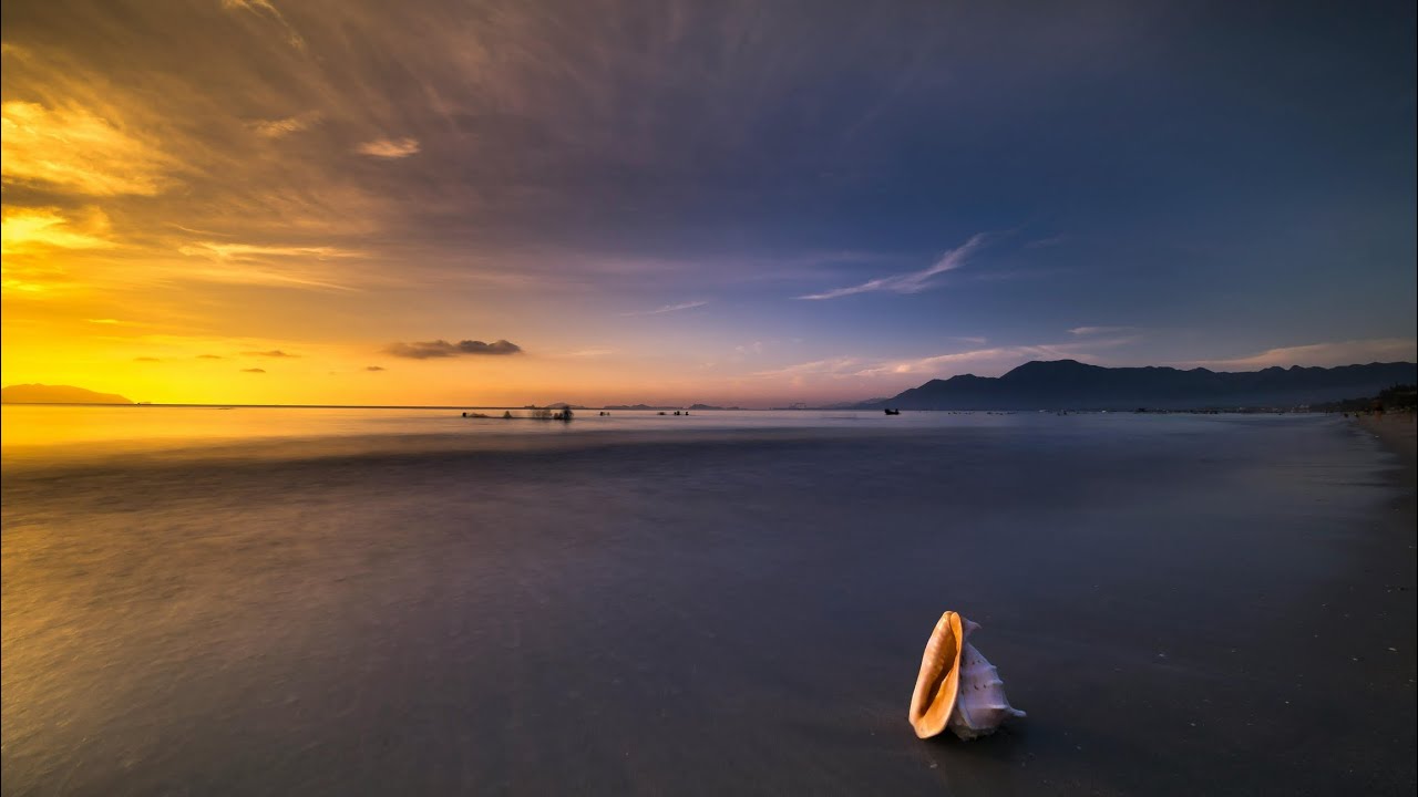 Sea Shell by Amy Lowell (read by Ben W Smith)