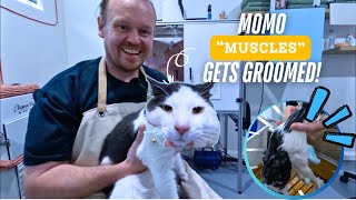 Momo Muscles Gets Groomed!