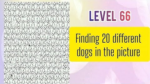 #irritant #puzzelspel #level66 #20 verschillende honden vinden op de foto #gameplay #video