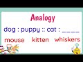 Analogy Learning Quiz