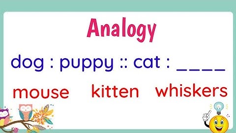 Analogy (with Activity)
