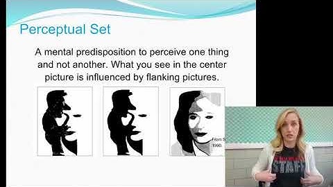 Perceptual Interpretation Flipped Notes for AP Psychology by Mandy  Rice