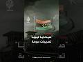 مشاهد مسربة لتعذيب معتقلين في سجن قرنادة بليبيا تثير غضبا وانتقادات حقوقية واسعة مشاهد مسربة لتعذيب معتقلين في سجن قرنادة بليبيا تثير غضبا وانتقادات حقوقية واسعة