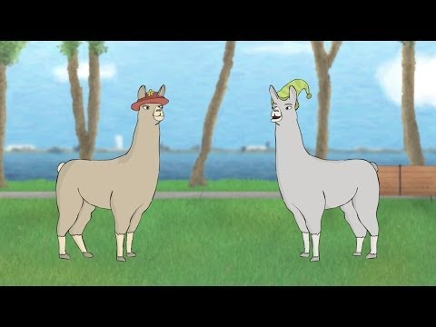 Llamas with Hats 5