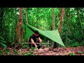 Solo hiking and camp wild  3 day alone in the borneo rainforest part 2