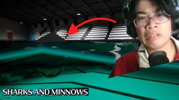 THẰNG ĐIÊN NÀO LẠI NUÔI THỨ NÀY TRONG HỒ BƠI VẬY ?? // SHARKS AND MINNOWS