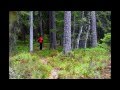 Soljastenneva 25 5 2014 D5100