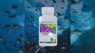 Nutrilite Cal Mag D