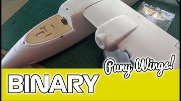 Well That Explains a Lot About the Binary (Sonic Modell)