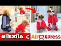 ОДЕЖДА ДЛЯ СОБАК С AliExpress | КАК ПОДОБРАТЬ ОДЕЖДУ СОБАКЕ В ИНТЕРНЕТ МАГАЗИНЕ