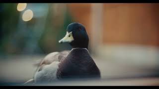 Severn Trent | In Our Nature