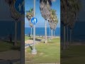   تل ابيب   بحر