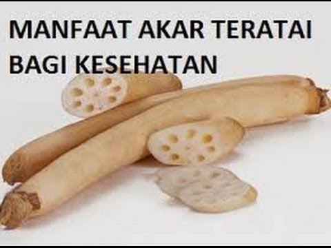 Video: 23 Manfaat Menakjubkan Akar Teratai Untuk Kulit, Rambut Dan Kesihatan