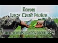 Копия Lucky Craft Malas по пассивному хищнику. Подповерхностный воблер. 11.06.17  Hunting for pike 5