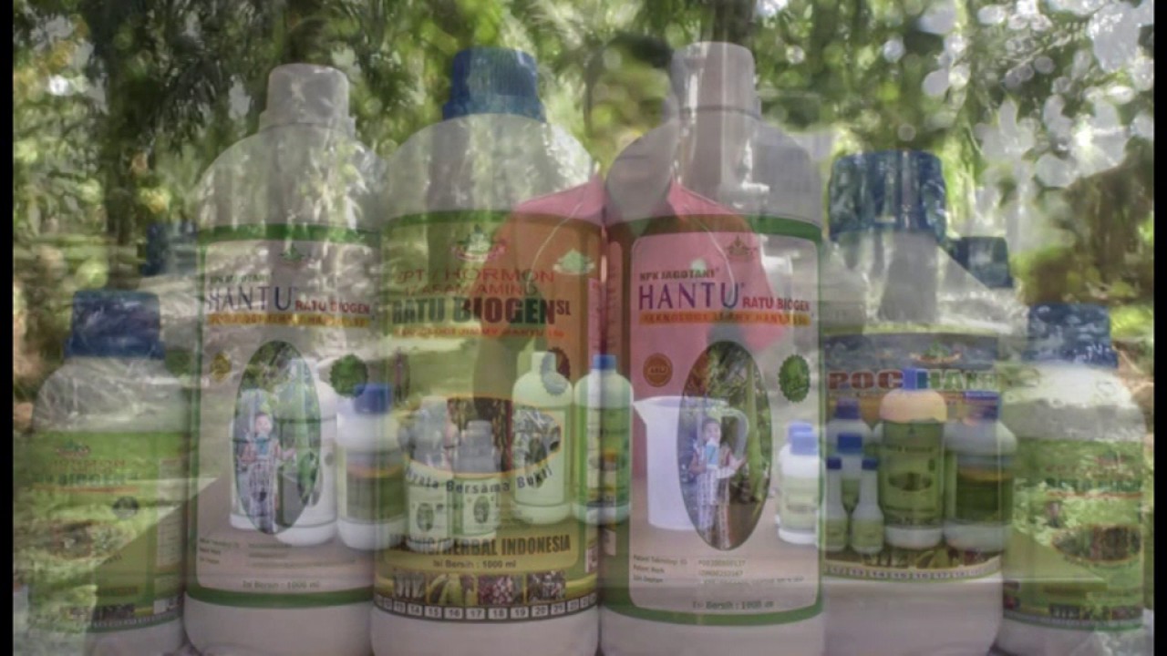 56 Pupuk Hantu Untuk Durian Terbaru