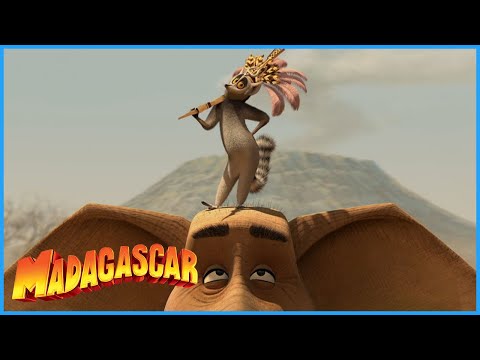 DreamWorks Madagascar | Bring The Water Back | Madagascar: Escape 2 Africa Movie Clip