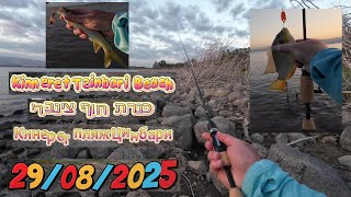 видео: 4K 29/08/2025 Kinneret Кинерет כנרת рыбалка fishing pesca דיג Tsinbari Beach пляж Цинбари חוף צינברי картинка: 4K 29/08/2025 Kinneret Кинерет כנרת рыбалка fishing pesca דיג Tsinbari Beach пляж Цинбари חוף צינברי