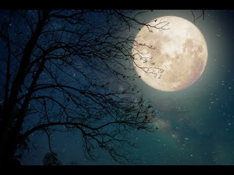 Video: De Ce Este Plin De Lună