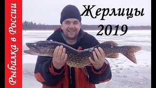 Ловля щуки на жерлицы 2019. Щука как с пулемёта. Отличный клёв на зимней рыбалке.