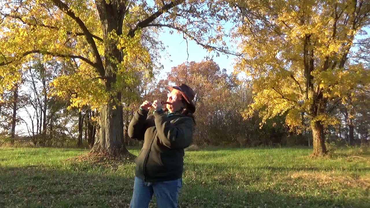 "Colors"; The Perfect Song for Autumn - YouTube