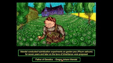 1. 12B05.4 CV1 Mendel