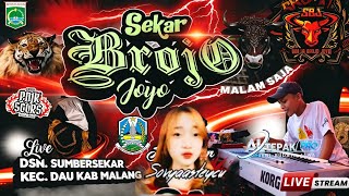 Download lagu Bantengan (SEKAR BROJO JOYO) live dsn sumbersekar dau malang