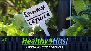Healthy Hits! - Trafalgar Garden