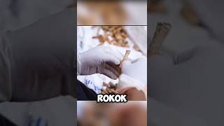 Ternyata, nilai daur ulang puntung rokok begitu tinggi #viral #shortsfeed