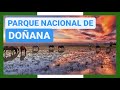 Gua completa  parque nacional de doana espaa   turismo y viajes a andaluca