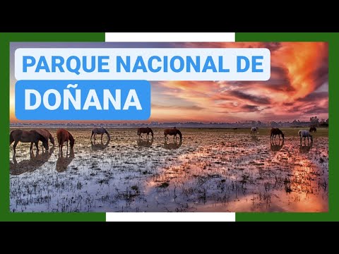 Vídeo: Parc nacional de les dunes d'Indiana: la guia completa