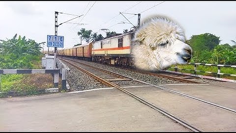 Fast & Furious SHEEP Headed  Kanchanjangha Express Dangerous Moving Out At Railgate