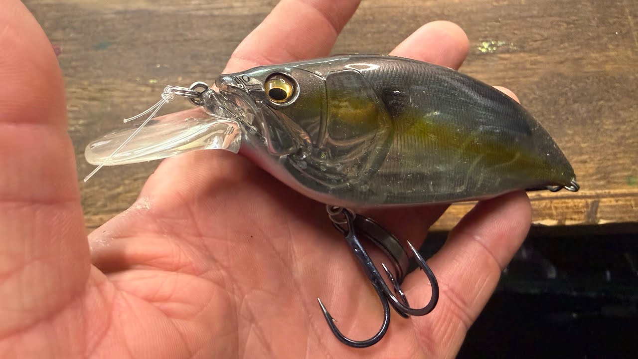 The Lure That Won The Bassmaster Elite Series Last Season On Okeechobee…Is DEADLY On Summer Bass..
