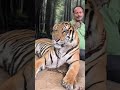 Tiger Topia Bangkok