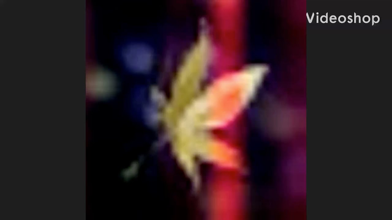 How to create a Quiz using Quizizz as a Teacher