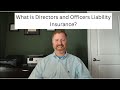 D&amp;O Insurance Explained: Why Even Small Businesses &amp; Nonprofits Need It!