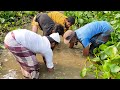 Best Hand Fishing in the Under Water ll Natural koi fish Catching by Hand