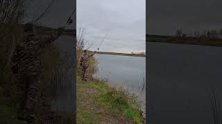 Рыбалка на поплавок 🎣👍