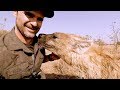 Cute Hyena Compilation | The Lion Whisperer