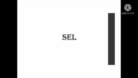 SEL ( Pendahuluan)