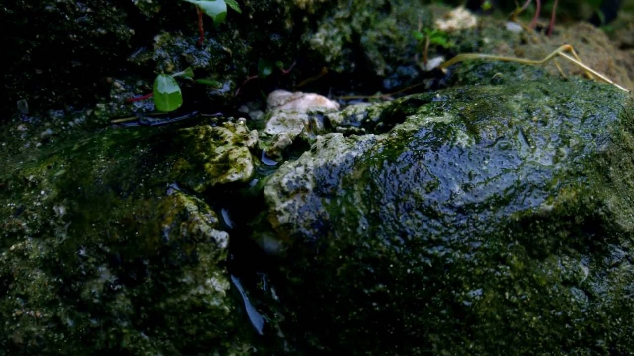 LG G4 - Cinematic 4K to 1080p