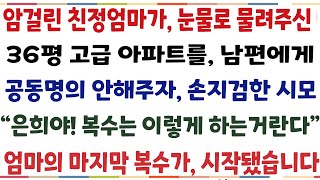 (반전신청사연)암걸린 친정엄마가 눈물로 물려주신 36평 고급아파트를 남편에게 공동명의 안해주자 