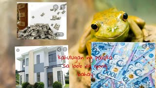 Kahulugan Ng Palaka Kapag Pumasok Sa Loob Ng Bahay
