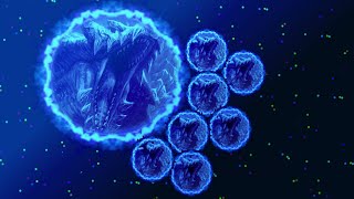 Nebulous-🔥Triple WallLines🔥 Double Revere's🍀