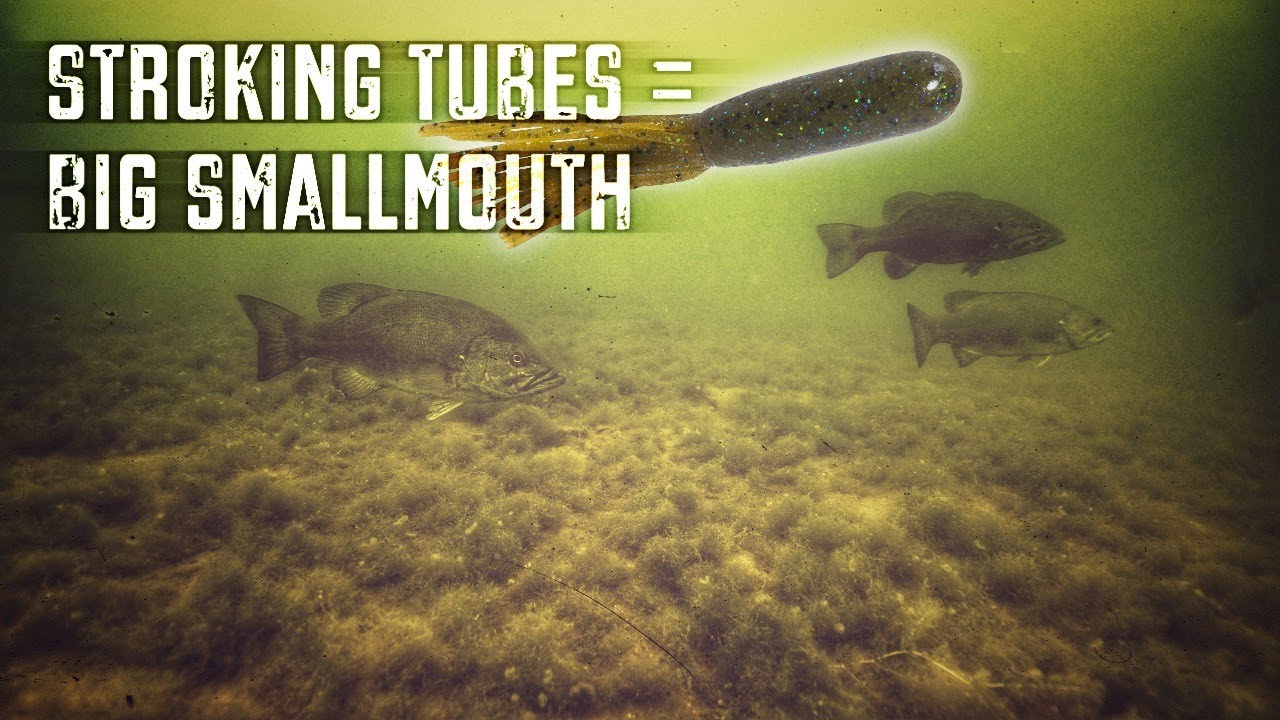 Power Fishing Tubes (Stroking) for Big Smallmouth Bass 