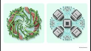 PRACTICAL SINGULARITY SURVIVAL SYSTEMS