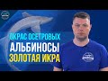 Окрас осетровых Альбиносы и Золотая икра