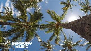Sugar Jesus & Mary Leay - Last Kiss